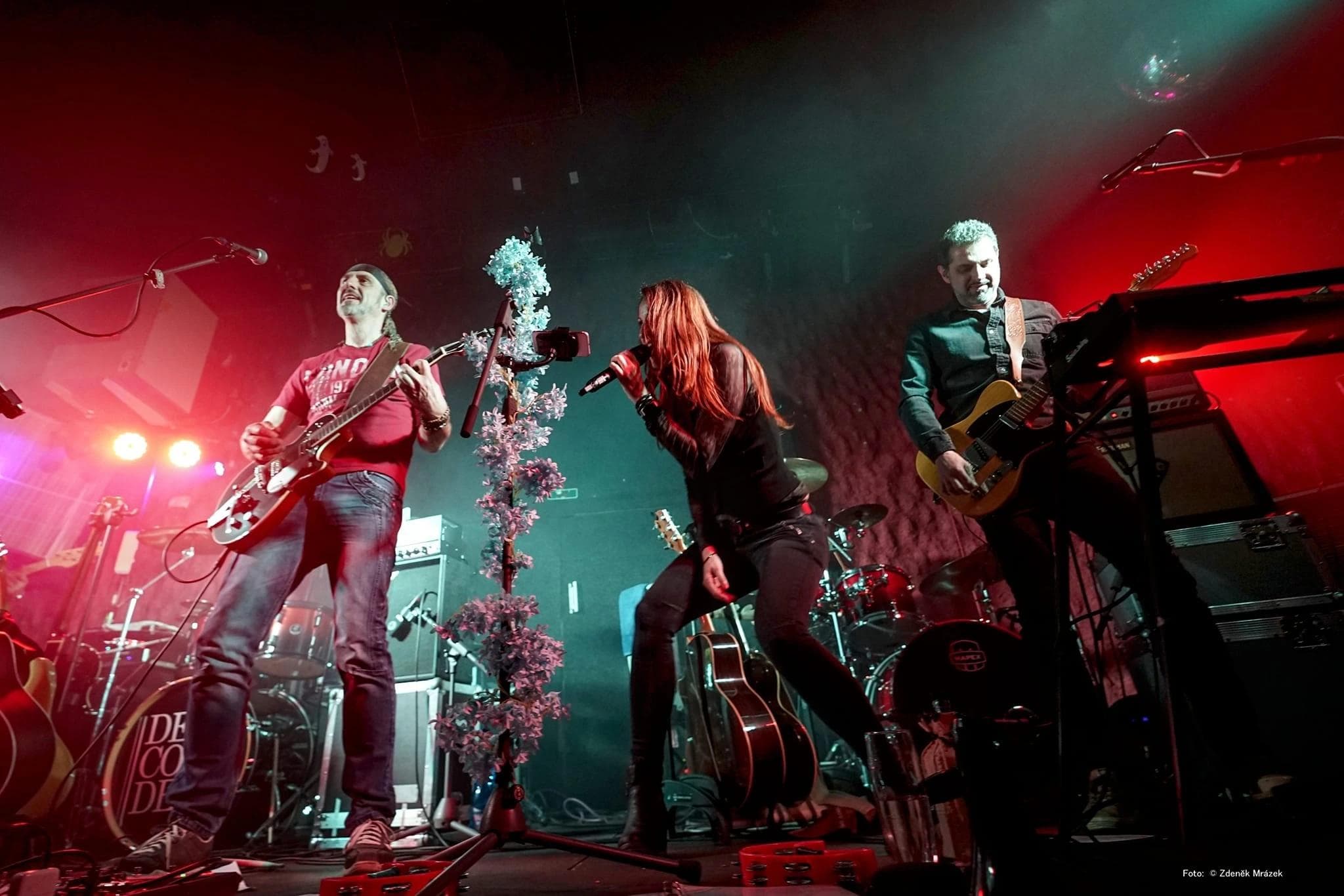 image-e91c05000253dcf4be645345957d33c917332a10-2048x1366-webp